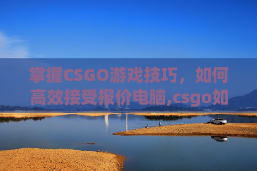 掌握CSGO游戏技巧，如何高效接受报价电脑,csgo如何接受报价steam