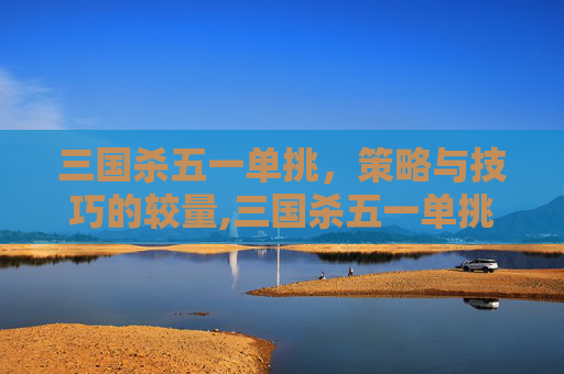 三国杀五一单挑，策略与技巧的较量,三国杀五一单挑武将排名