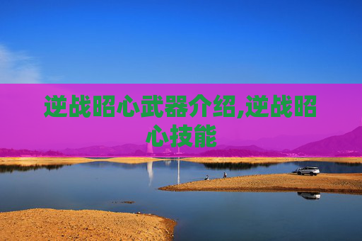 逆战昭心武器介绍,逆战昭心技能