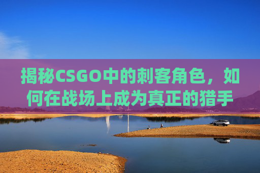 揭秘CSGO中的刺客角色，如何在战场上成为真正的猎手,csgo刺客印花彩蛋