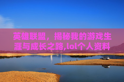 英雄联盟，揭秘我的游戏生涯与成长之路,lol个人资料介绍大全