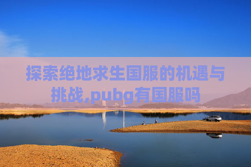 探索绝地求生国服的机遇与挑战,pubg有国服吗