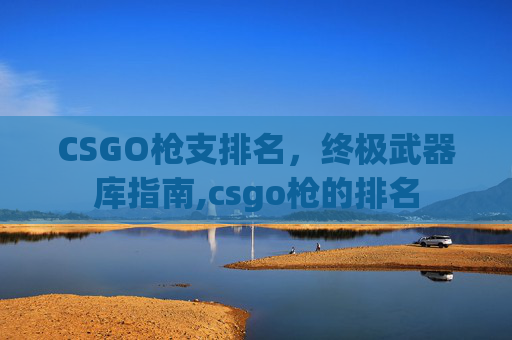CSGO枪支排名，终极武器库指南,csgo枪的排名