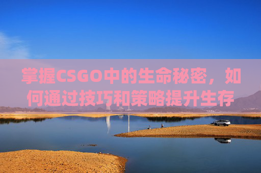 掌握CSGO中的生命秘密，如何通过技巧和策略提升生存率,csgo改生命值