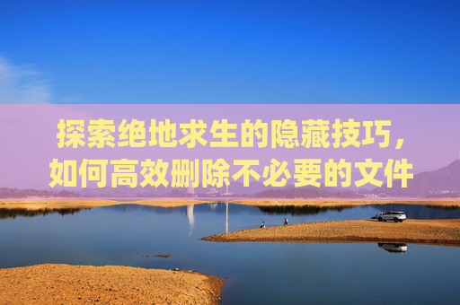 探索绝地求生的隐藏技巧，如何高效删除不必要的文件以优化游戏体验,pubg文件夹删不掉怎么办