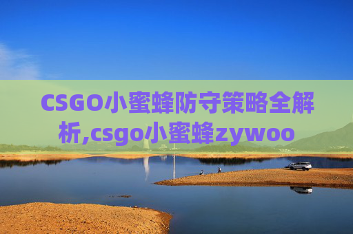 CSGO小蜜蜂防守策略全解析,csgo小蜜蜂zywoo