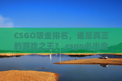 CSGO吸金排名，谁是真正的游戏之王？,csgo必出金