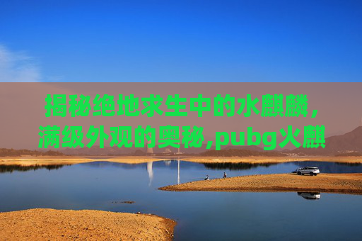 揭秘绝地求生中的水麒麟，满级外观的奥秘,pubg火麒麟皮肤