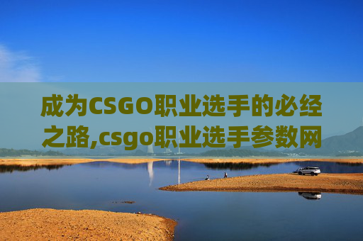 成为CSGO职业选手的必经之路,csgo职业选手参数网站