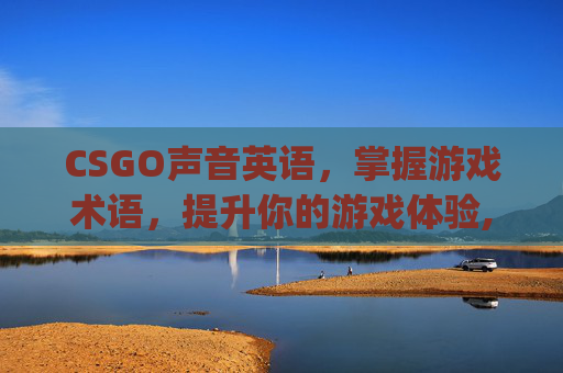 CSGO声音英语，掌握游戏术语，提升你的游戏体验,csgo各种声音