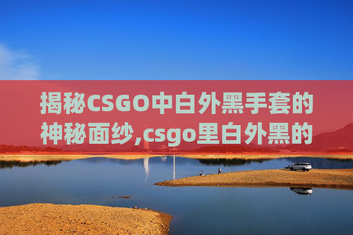 揭秘CSGO中白外黑手套的神秘面纱,csgo里白外黑的手套叫什么