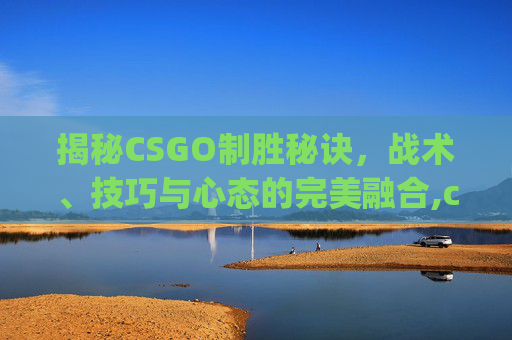 揭秘CSGO制胜秘诀，战术、技巧与心态的完美融合,csgo如何获胜