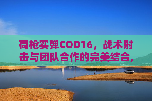 荷枪实弹COD16，战术射击与团队合作的完美结合,荷枪实弹的荷什么意思