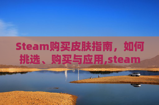 Steam购买皮肤指南，如何挑选、购买与应用,steam卖的皮肤钱去哪里