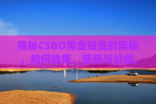 揭秘CSGO黄金贴纸的奥秘，如何收集、使用与价值,csgo金贴纸多少钱