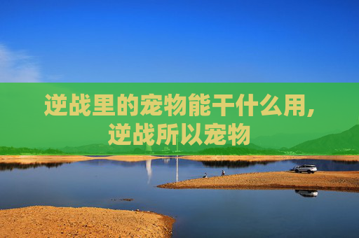 逆战里的宠物能干什么用,逆战所以宠物