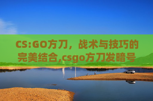 CS:GO方刀，战术与技巧的完美结合,csgo方刀发暗号啥意思