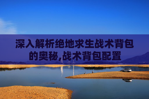 深入解析绝地求生战术背包的奥秘,战术背包配置