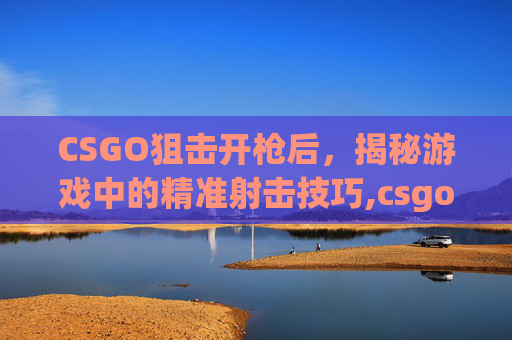 CSGO狙击开枪后，揭秘游戏中的精准射击技巧,csgo狙击枪走动无晃动