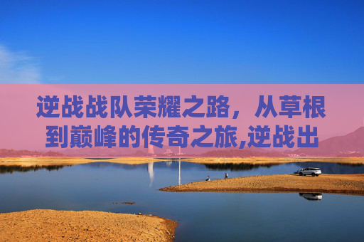 逆战战队荣耀之路，从草根到巅峰的传奇之旅,逆战出名的战队叫什么