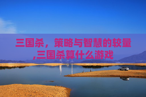 三国杀，策略与智慧的较量,三国杀算什么游戏