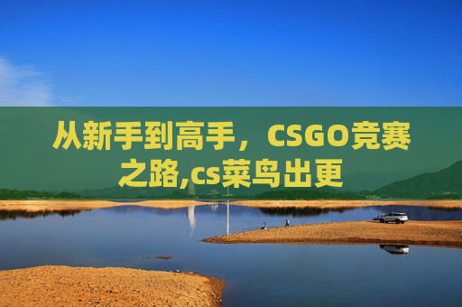 从新手到高手，CSGO竞赛之路,cs菜鸟出更