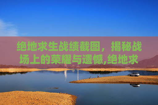 绝地求生战绩截图，揭秘战场上的荣耀与遗憾,绝地求生端游战绩图