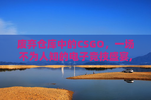 废弃仓库中的CSGO，一场不为人知的电子竞技盛宴,废弃仓库被十几只流浪狗小如小说
