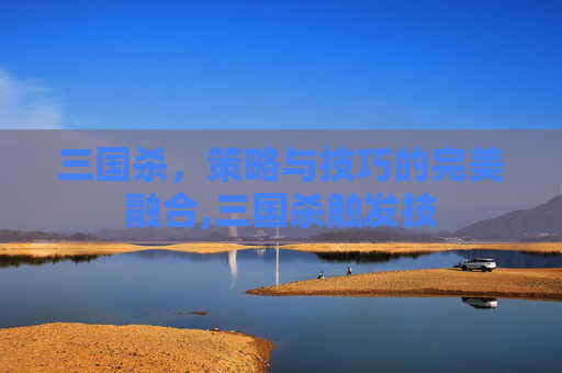 三国杀，策略与技巧的完美融合,三国杀触发技