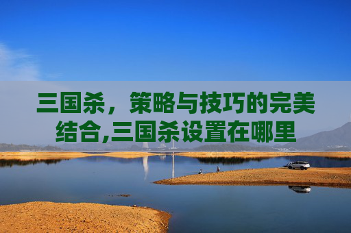 三国杀，策略与技巧的完美结合,三国杀设置在哪里