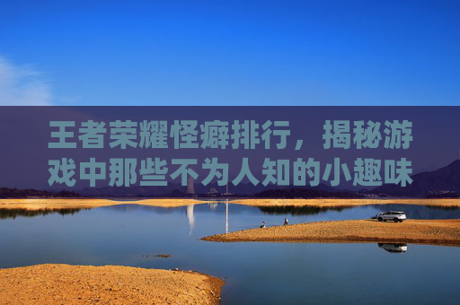 王者荣耀怪癖排行，揭秘游戏中那些不为人知的小趣味,王者荣耀怪癖排行榜最新
