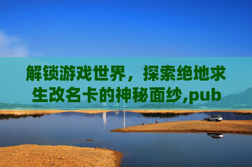 解锁游戏世界，探索绝地求生改名卡的神秘面纱,pubg手游改名卡
