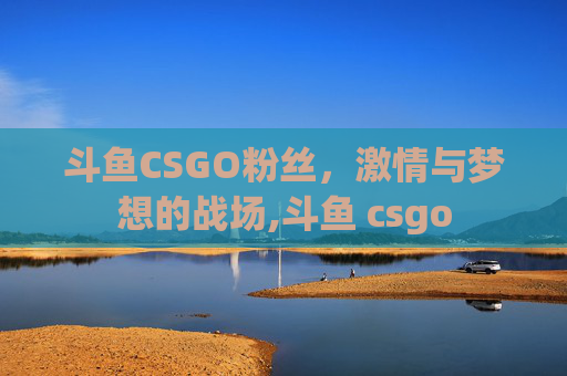 斗鱼CSGO粉丝，激情与梦想的战场,斗鱼 csgo