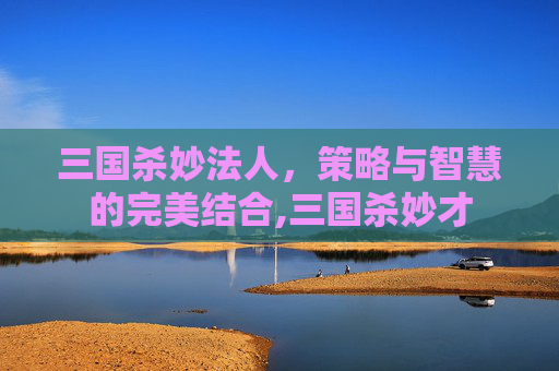 三国杀妙法人，策略与智慧的完美结合,三国杀妙才