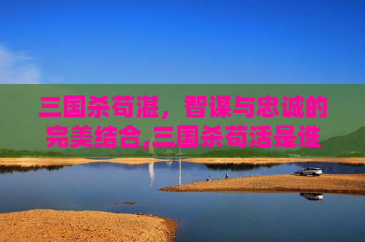 三国杀苟湛，智谋与忠诚的完美结合,三国杀苟活是谁