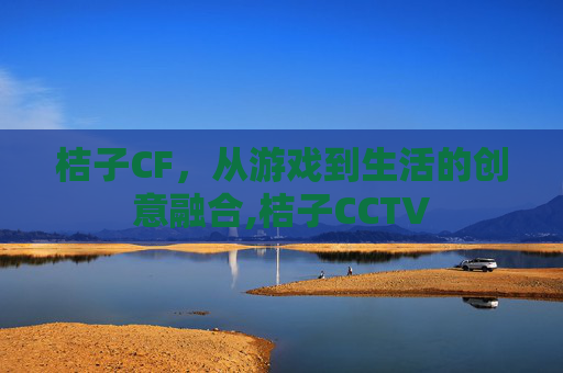 桔子CF，从游戏到生活的创意融合,桔子CCTV