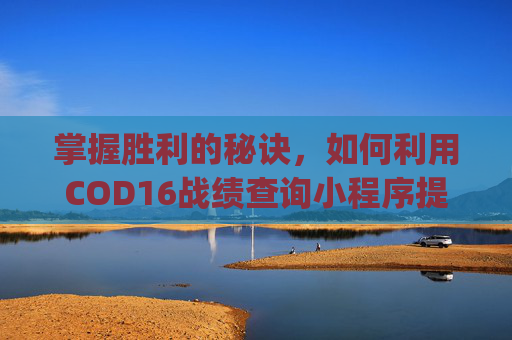 掌握胜利的秘诀，如何利用COD16战绩查询小程序提升你的游戏技能,cod16战绩查询app
