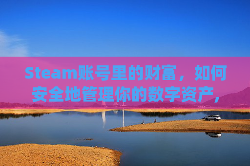 Steam账号里的财富，如何安全地管理你的数字资产,steam账号有钱为什么csgo不能用