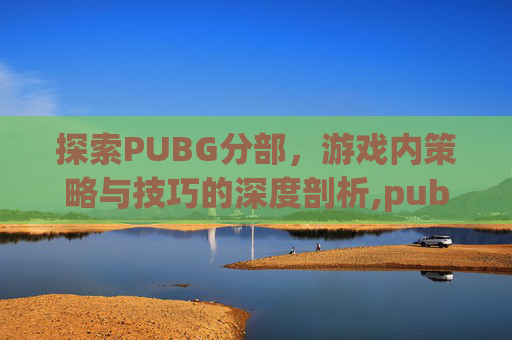 探索PUBG分部，游戏内策略与技巧的深度剖析,pubg分工