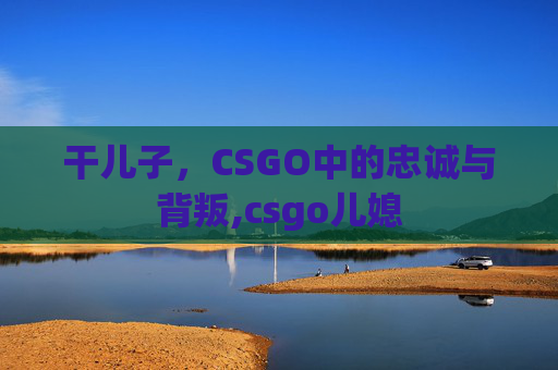 干儿子，CSGO中的忠诚与背叛,csgo儿媳
