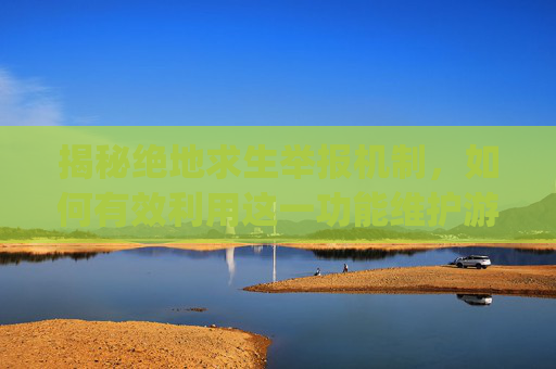 揭秘绝地求生举报机制，如何有效利用这一功能维护游戏环境？,pubg按什么键举报