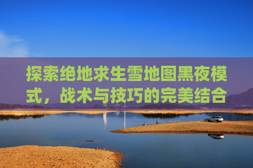探索绝地求生雪地图黑夜模式，战术与技巧的完美结合,pubg雪地地图叫什么名字