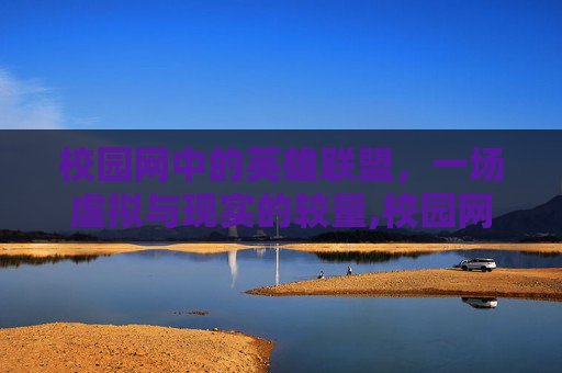 校园网中的英雄联盟，一场虚拟与现实的较量,校园网lol总掉线怎么回事