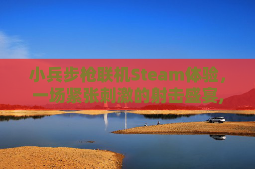 小兵步枪联机Steam体验，一场紧张刺激的射击盛宴,小兵步枪联机超时