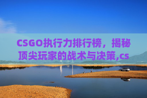 CSGO执行力排行榜，揭秘顶尖玩家的战术与决策,csgo实力