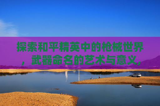 探索和平精英中的枪械世界，武器命名的艺术与意义,和平精英里武器名字怎么隐藏