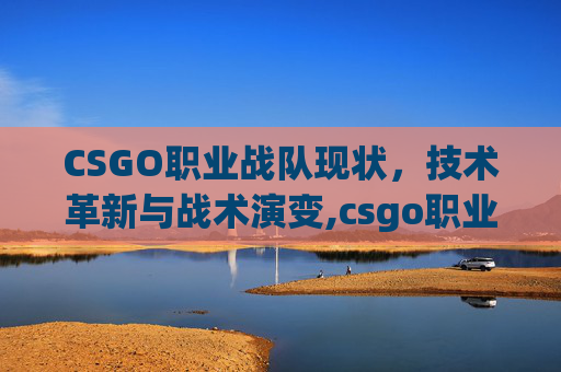CSGO职业战队现状，技术革新与战术演变,csgo职业战队小蜜蜂