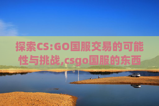 探索CS:GO国服交易的可能性与挑战,csgo国服的东西能卖吗