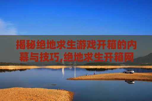 揭秘绝地求生游戏开箱的内幕与技巧,绝地求生开箱网站