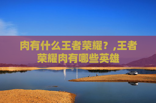 肉有什么王者荣耀？,王者荣耀肉有哪些英雄